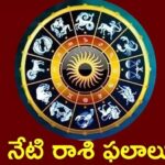 Rasi phalalu