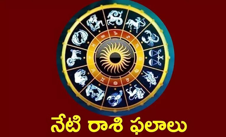 Rasi phalalu